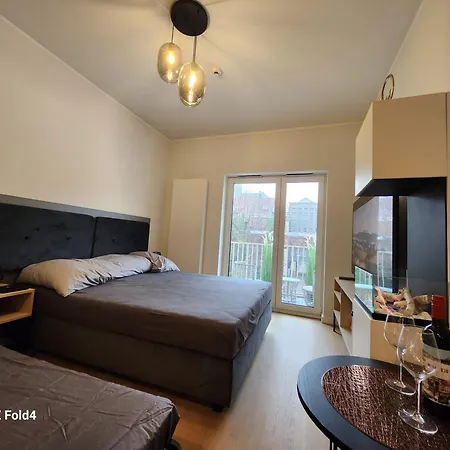 Urocze Gniazdko W Centrum Poznania Апартаменты